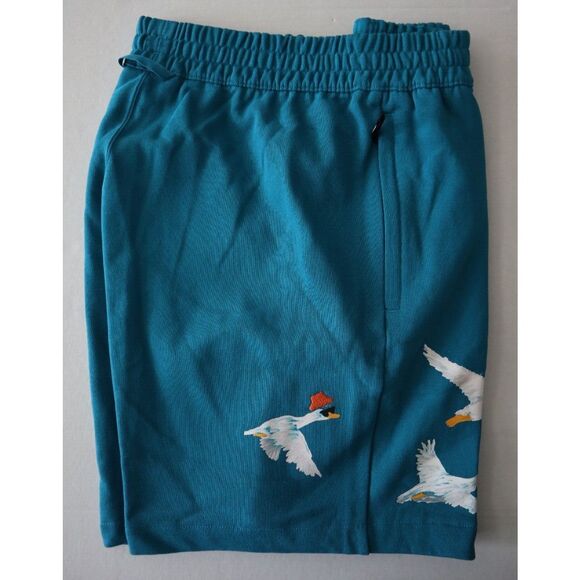 adidas HZ1151 Men's Sz Large Active Teal Adventure Graphic Shorts - Picture 10 of 12